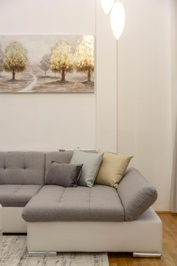 Luxurious & Spacious Downtown Residence In Liszt Ferenc Square Будапеща Екстериор снимка