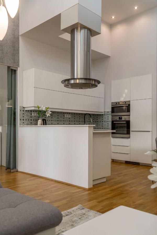 Luxurious & Spacious Downtown Residence In Liszt Ferenc Square Будапеща Екстериор снимка